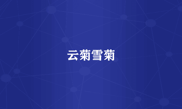 云菊雪菊