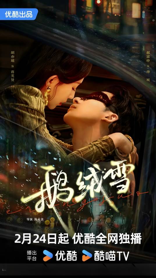 鹅绒雪（2025年陈未衾执导的民国爱情剧）
