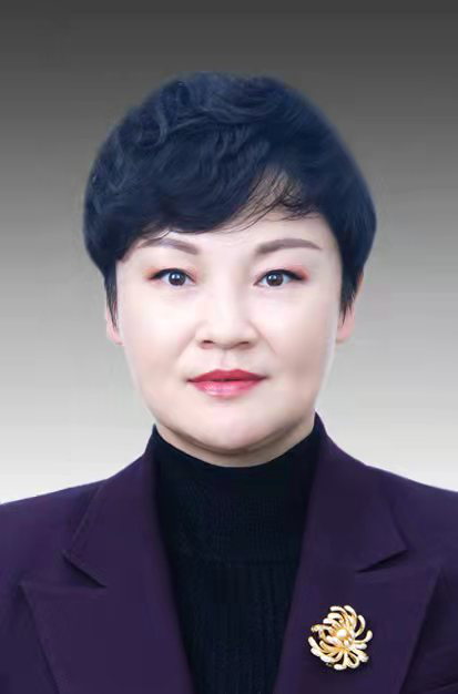 盛莉（山东省聊城市东昌府区工业和信息化局党组成员、副局长）