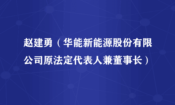 赵建勇（华能新能源股份有限公司原法定代表人兼董事长）