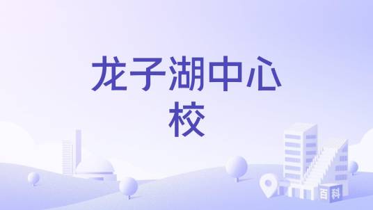 郑州市郑东新区龙子湖小学