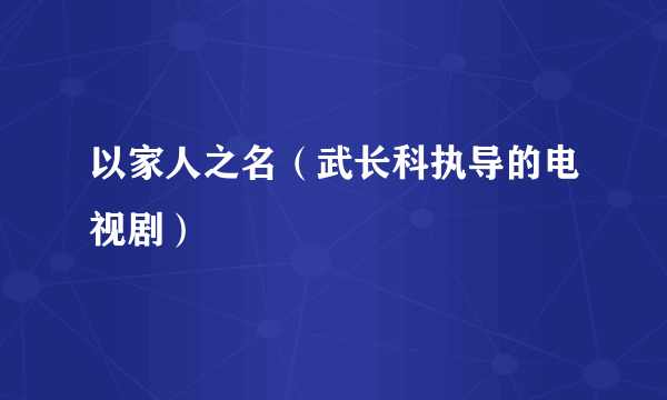 以家人之名（武长科执导的电视剧）