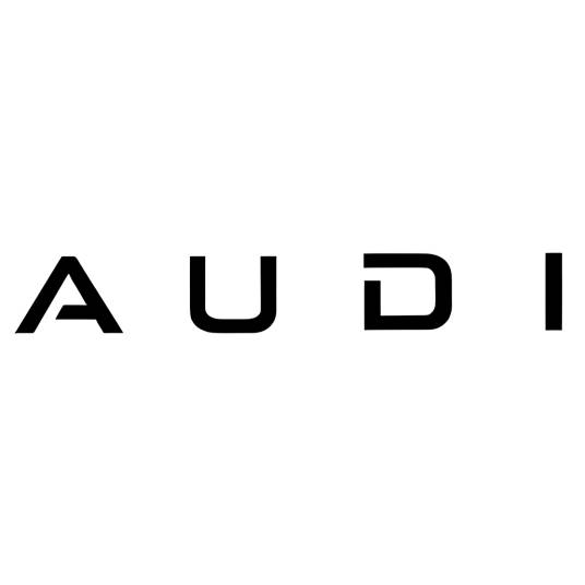 AUDI（奥迪豪华电动品牌）