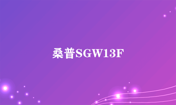 桑普SGW13F