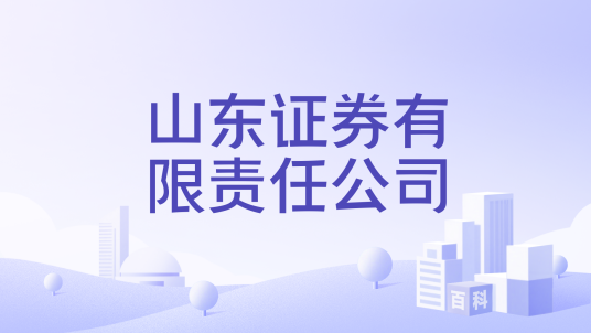 山东证券有限责任公司