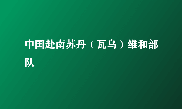 中国赴南苏丹（瓦乌）维和部队