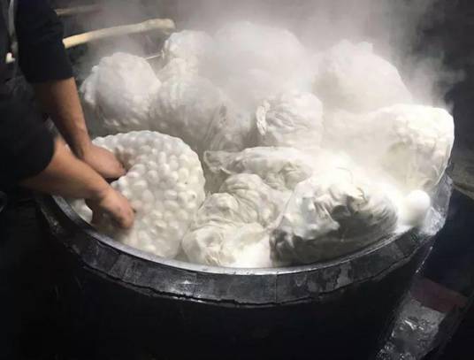 煮茧