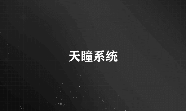 天瞳系统