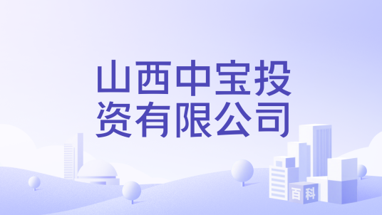 山西中宝投资有限公司