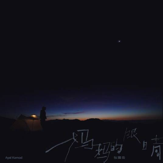 妈妈的眼睛（张震岳演唱的歌曲）