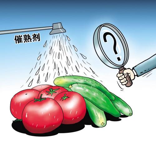 催熟