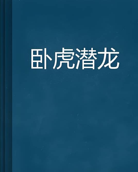 卧虎潜龙（儿子叫大宝创作都市小说）
