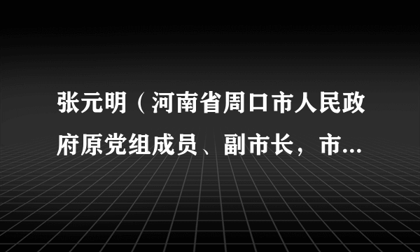张元明（河南省周口市人民政府原党组成员、副市长，市公安局原党委书记、局长）