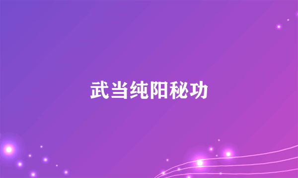 武当纯阳秘功