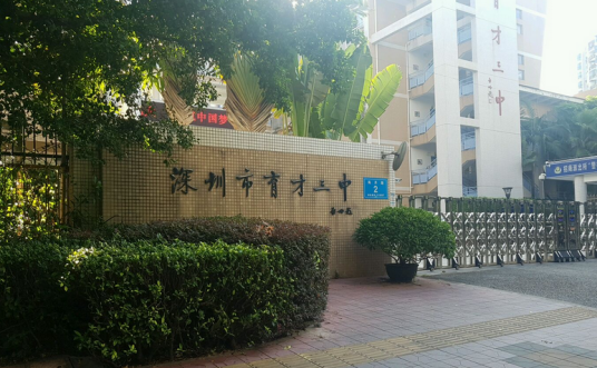 深圳市蛇口育才教育集团育才三中
