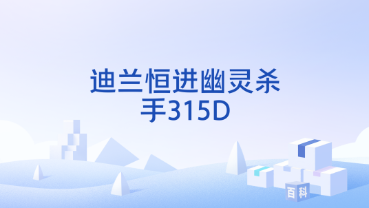 迪兰恒进幽灵杀手315D