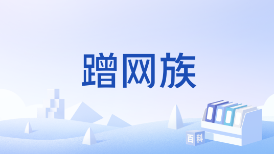 蹭网族
