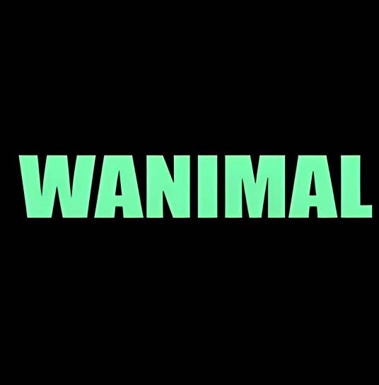 WANIMAL王动物