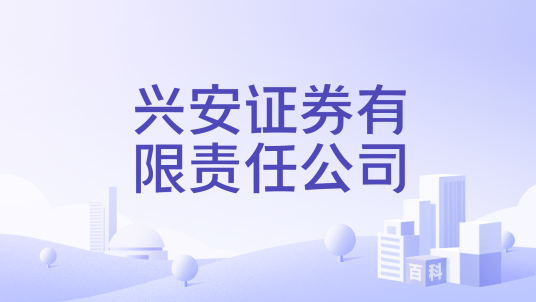 兴安证券有限责任公司