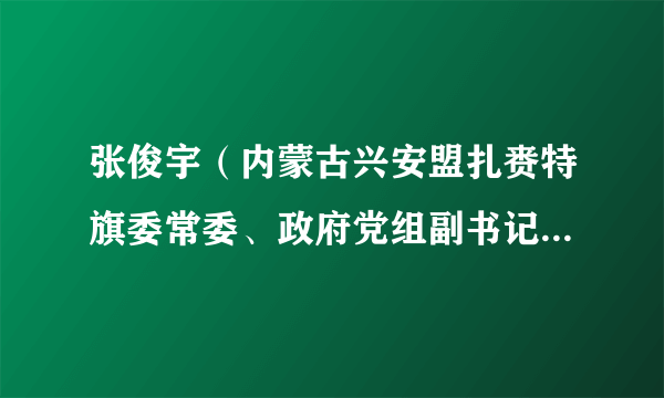 张俊宇（内蒙古兴安盟扎赉特旗委常委、政府党组副书记、副旗长）