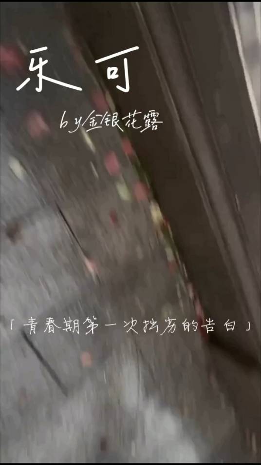 乐可小说