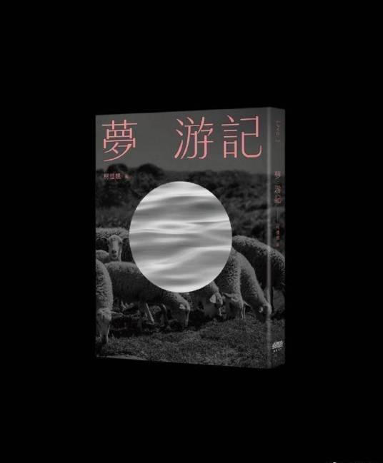 梦游记（柯佳嬿创作的长篇小说）