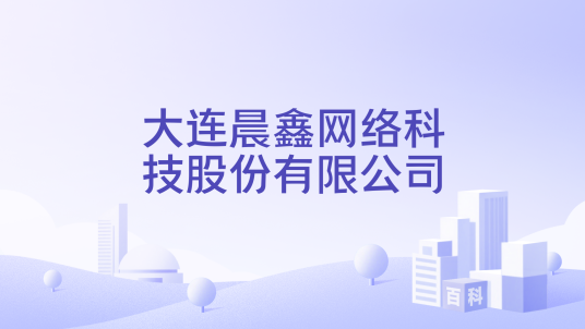 大连晨鑫网络科技股份有限公司