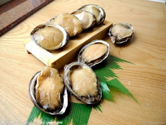 白鲍