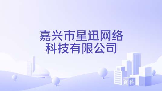 嘉兴市星迅网络科技有限公司