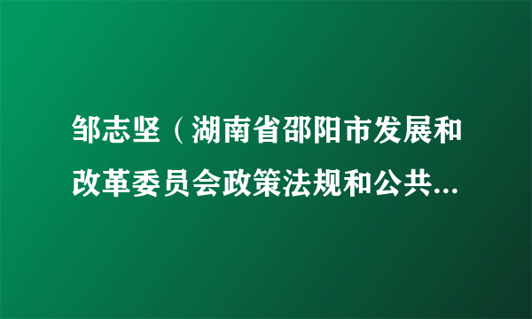 邹志坚（湖南省邵阳市发展和改革委员会政策法规和公共资源交易管理科科长）