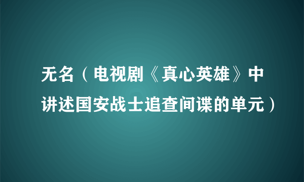 无名（电视剧《真心英雄》中讲述国安战士追查间谍的单元）