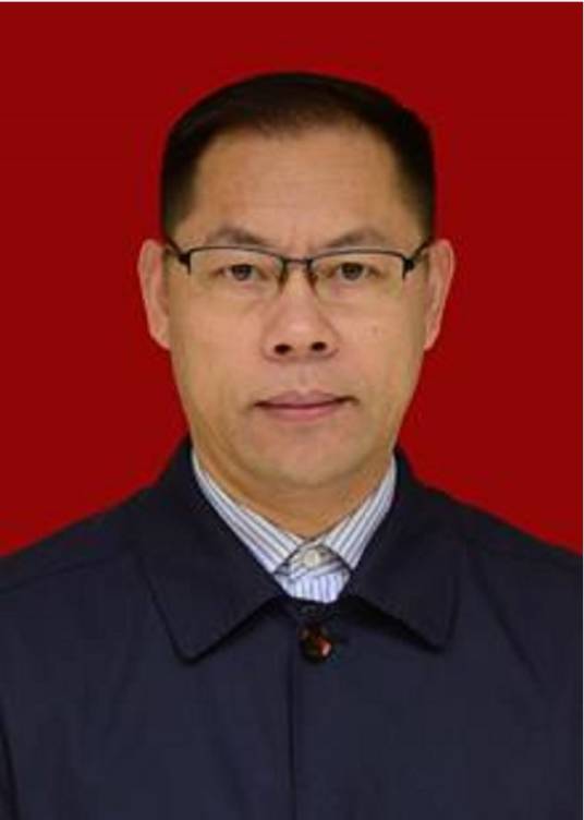郑俊华(湖北省咸宁市崇阳县委原书记、二级巡视员)