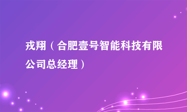 戎翔（合肥壹号智能科技有限公司总经理）
