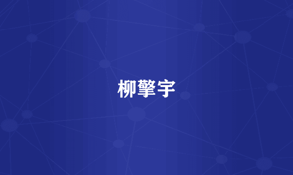 柳擎宇