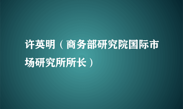 许英明（商务部研究院国际市场研究所所长）