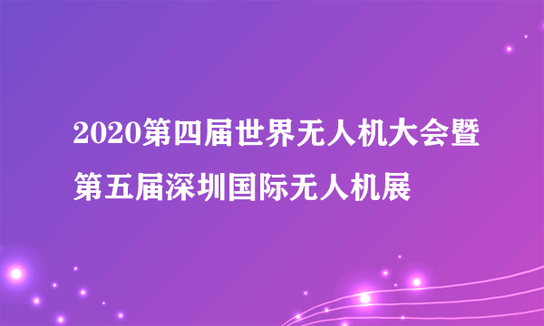 2020第四届世界无人机大会暨第五届深圳国际无人机展