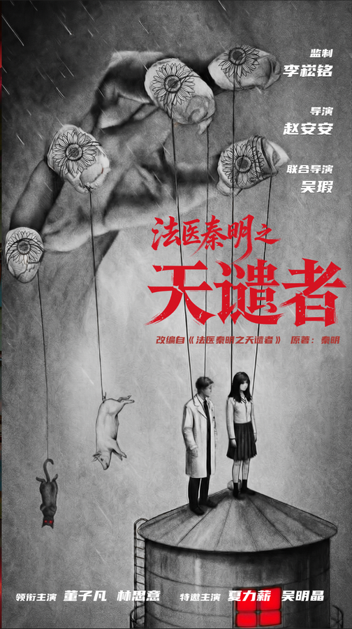 法医秦明之天谴者（网剧）