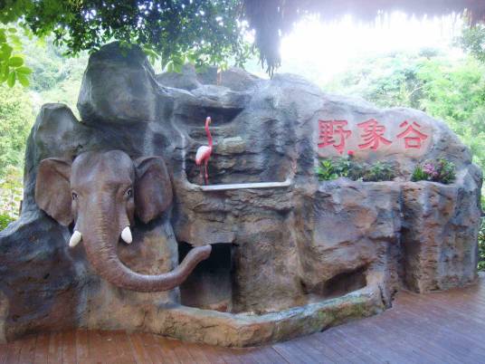 西双版纳野象谷景区