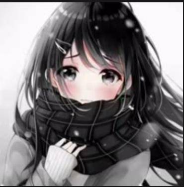 夜巴黎（自媒体创作者）