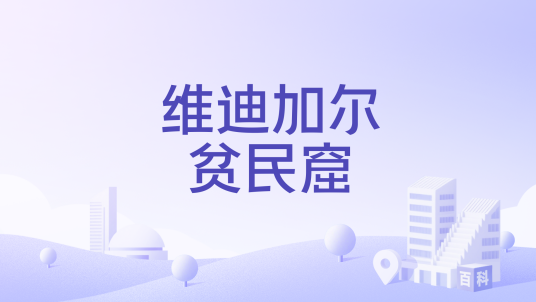 维迪加尔贫民窟