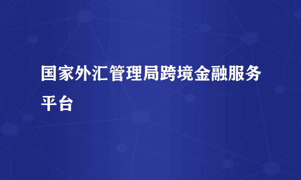国家外汇管理局跨境金融服务平台