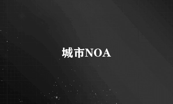 城市NOA