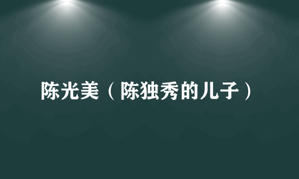 陈光美（陈独秀的儿子）