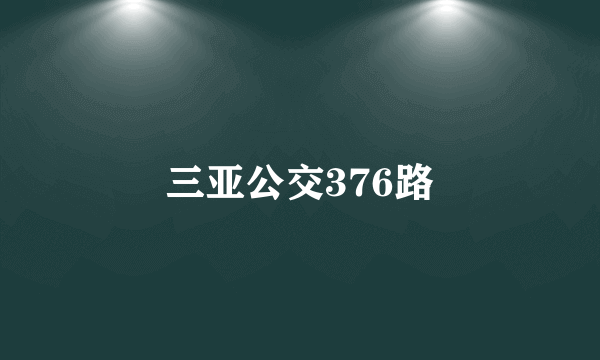 三亚公交376路