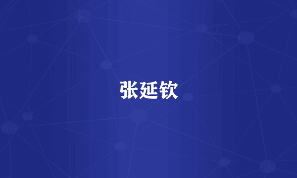张延钦