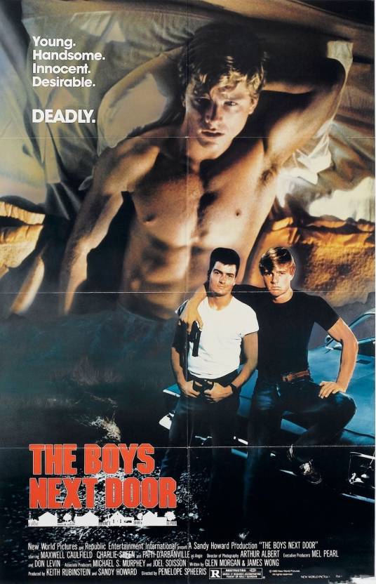 邻家男孩（1985年佩内洛普·斯皮瑞斯执导的美国犯罪惊悚电影）