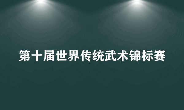 第十届世界传统武术锦标赛