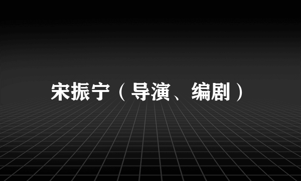宋振宁（导演、编剧）