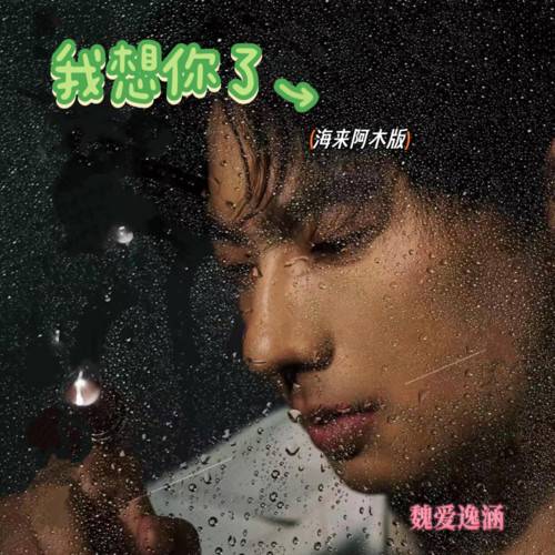 我想你了（海来阿木演唱的流行歌曲）