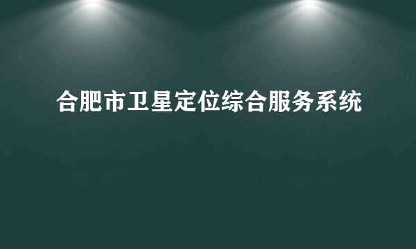 合肥市卫星定位综合服务系统